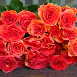 Orange Jewel Roses Branchue d'Equateur Ethiflora